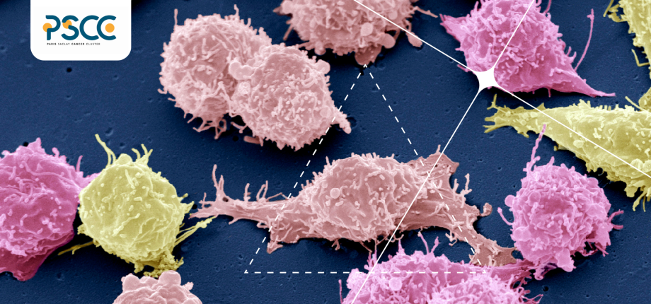 Paris-Saclay Cancer Cluster and Institut Polytechnique de Paris: innovation in battle against cancer