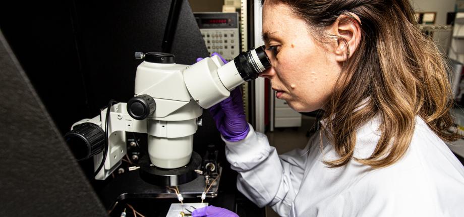 Master 2 Ingénierie BioMédicale (BME)