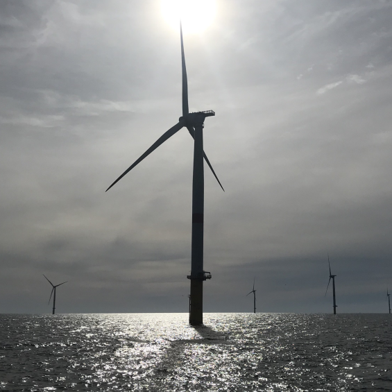 À IP Paris, la mécanique des fluides au service des éoliennes flottantes et de la diversification énergétique