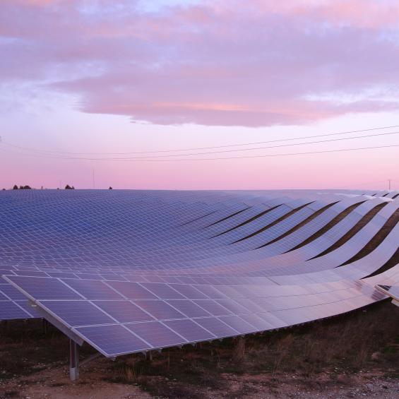 Améliorer les appels d’offres publics pour les énergies renouvelables  